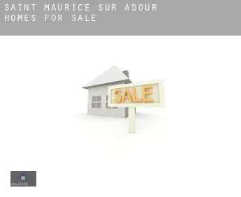 Saint-Maurice-sur-Adour  homes for sale