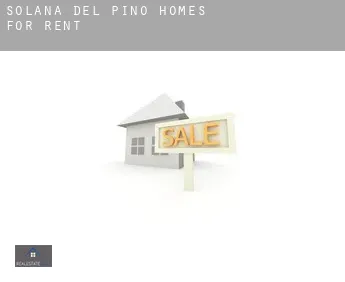 Solana del Pino  homes for rent