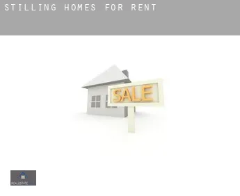 Stilling  homes for rent