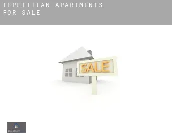 Tepetitlán  apartments for sale