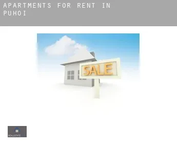 Apartments for rent in  Puhoi