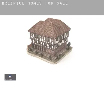 Březnice  homes for sale