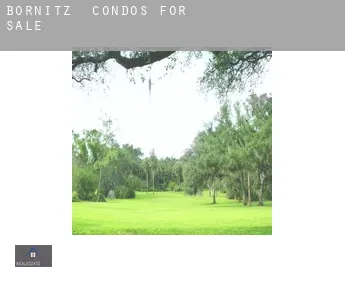 Bornitz  condos for sale