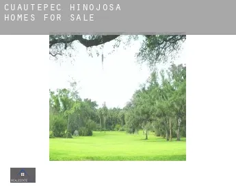Cuautepec de Hinojosa  homes for sale