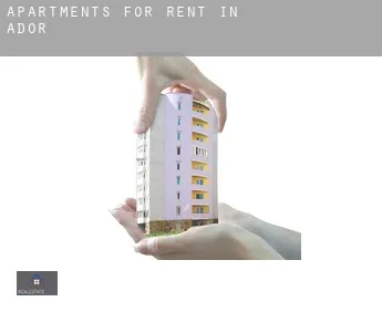 Apartments for rent in  Ador