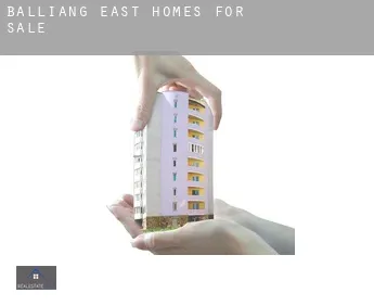 Balliang East  homes for sale