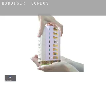 Böddiger  condos