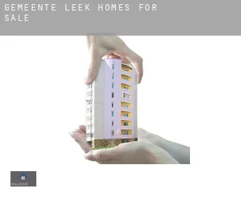 Gemeente Leek  homes for sale