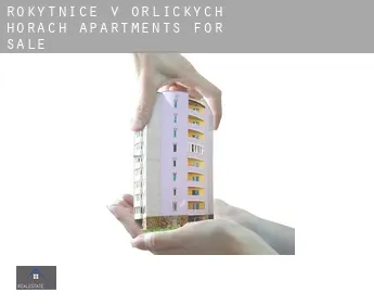 Rokytnice v Orlických Horách  apartments for sale