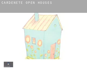 Cardenete  open houses