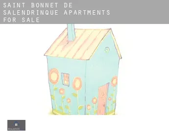 Saint-Bonnet-de-Salendrinque  apartments for sale