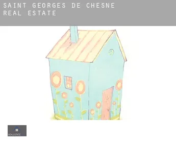 Saint-Georges-de-Chesné  real estate