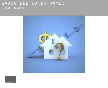 Bajos del Ejido  homes for sale