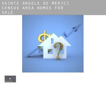 Sainte-Angèle-de-Mérici (census area)  homes for sale