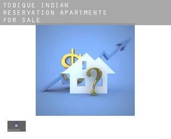 Tobique Indian Reservation  apartments for sale