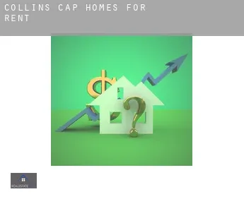 Collins Cap  homes for rent