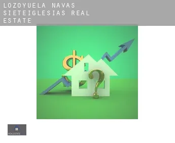 Lozoyuela-Navas-Sieteiglesias  real estate