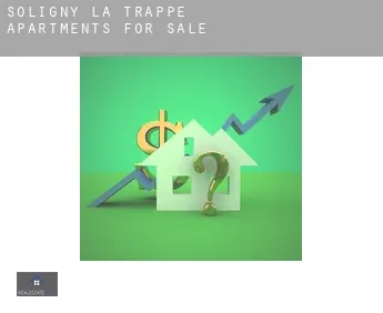 Soligny-la-Trappe  apartments for sale