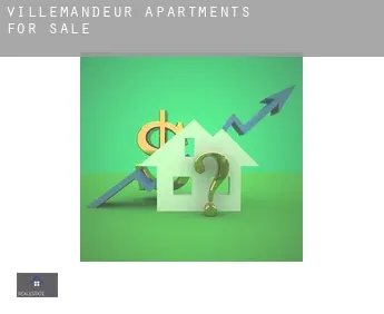 Villemandeur  apartments for sale