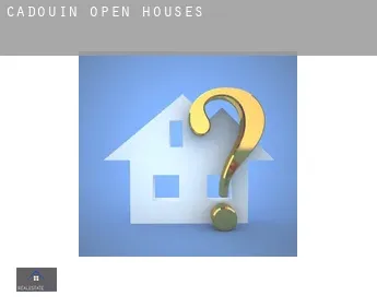 Cadouin  open houses