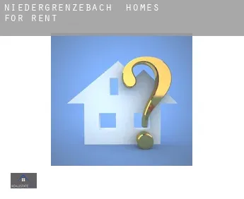 Niedergrenzebach  homes for rent