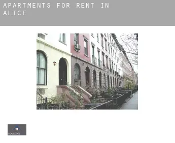 Apartments for rent in  Alice