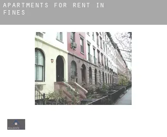 Apartments for rent in  Fines