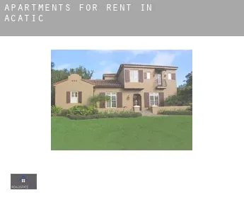 Apartments for rent in  Acatic
