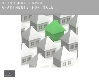 Opinogóra Górna  apartments for sale
