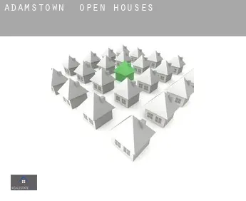 Adamstown  open houses