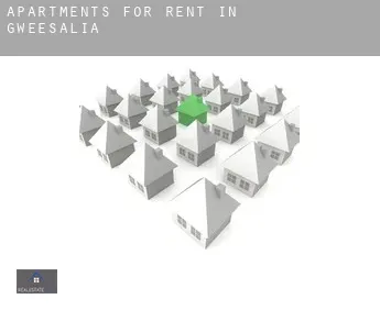 Apartments for rent in  Gweesalia