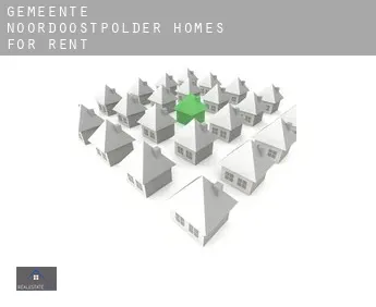 Gemeente Noordoostpolder  homes for rent