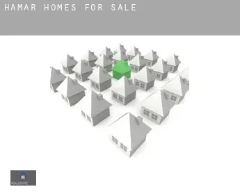 Hamar  homes for sale