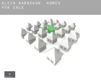 Klein Barnekow  homes for sale