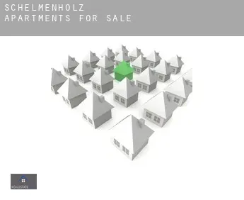 Schelmenholz  apartments for sale