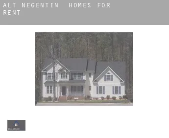 Alt Negentin  homes for rent