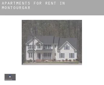 Apartments for rent in  Montourgar