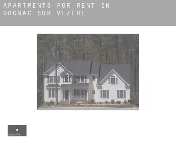 Apartments for rent in  Orgnac-sur-Vézère