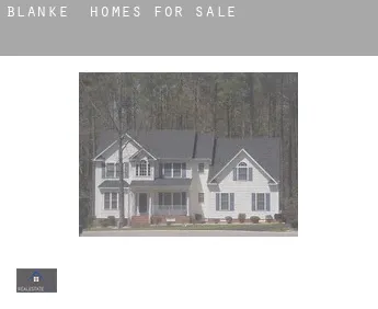 Blanke  homes for sale