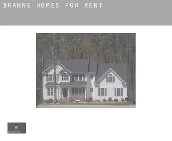 Branne  homes for rent