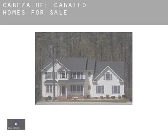 Cabeza del Caballo  homes for sale