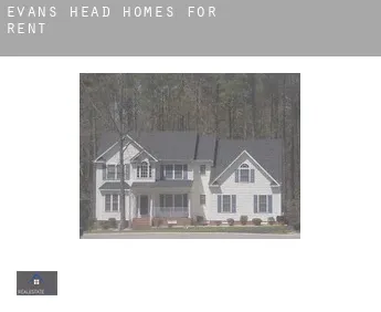 Evans Head  homes for rent