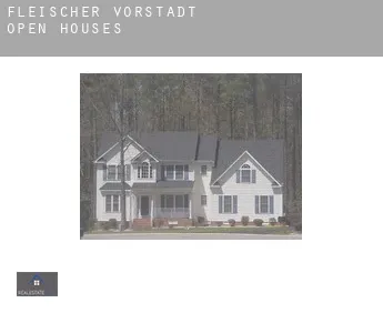 Fleischer-Vorstadt  open houses