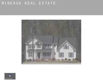 Mineaux  real estate