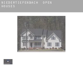 Niedertiefenbach  open houses