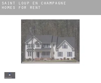 Saint-Loup-en-Champagne  homes for rent