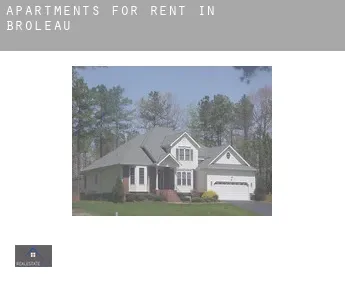 Apartments for rent in  Broleau