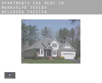 Apartments for rent in  Welsberg-Taisten