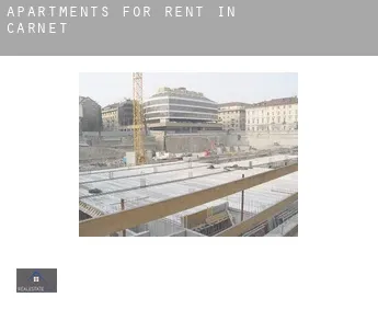 Apartments for rent in  Carnet