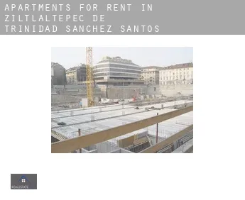 Apartments for rent in  Ziltlaltepec de Trinidad Sanchez Santos
